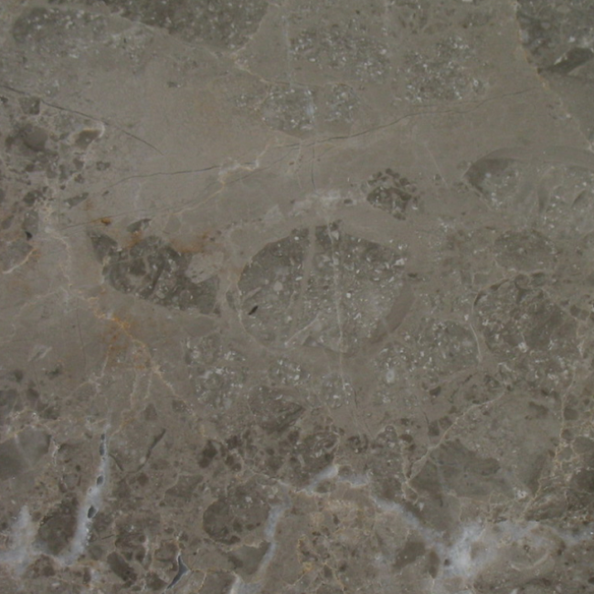 Grigio dorada marble